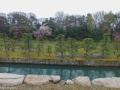 nijo_kyoto-15