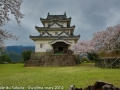 sakura_uwajima30032014-7v0b1424