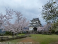 sakura_uwajima30032014-p1000944