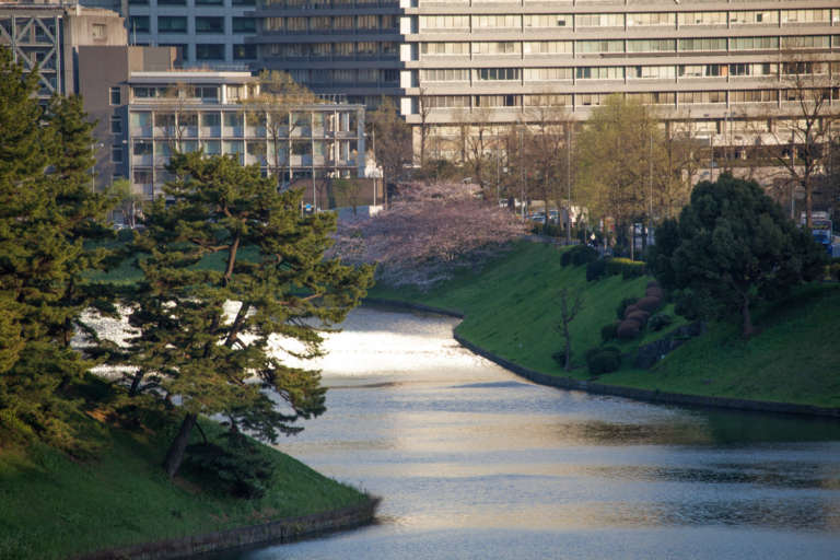 A Edo Chateau IMG