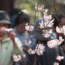 Hanami en 2012 à Tokyo – Photographier les fleurs