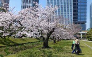 Jardin de Hama-Rikyu
