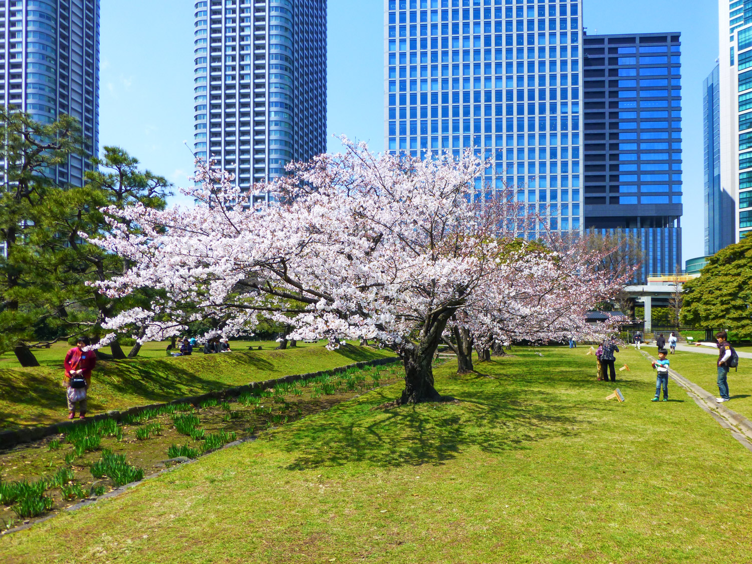 hamarikyu garden P