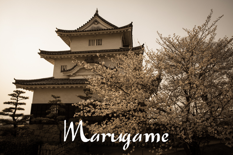 Chateaux Japon marugame
