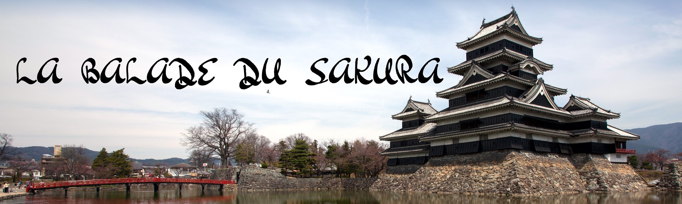 cropped cropped Image Tete ste v