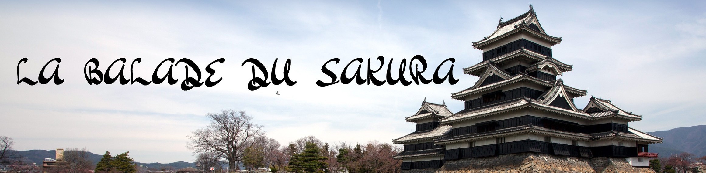 cropped cropped cropped Image Tete ste v