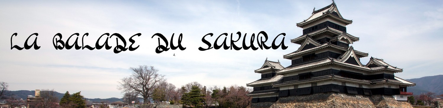 cropped cropped cropped Image Tete ste v