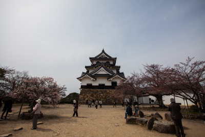 Chateaux Japon hikone 2