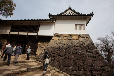 Chateaux Japon hikone 3