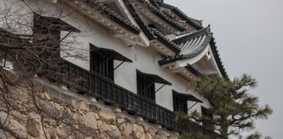 Chateaux Japon hikone