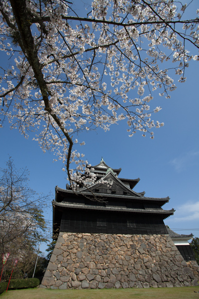 Chateaux Japon matsue