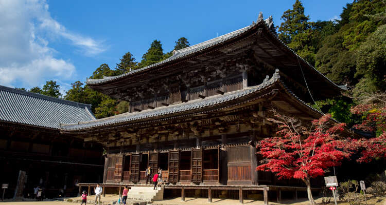 Momiji au Mt Shosha