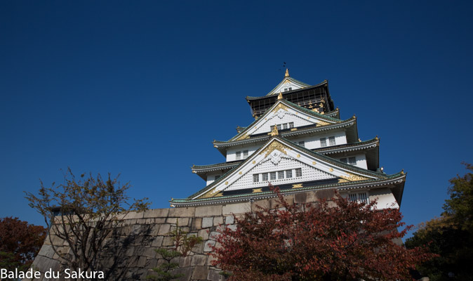 16 chateaux Japonais