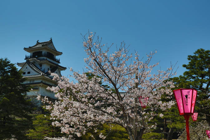 Photos du château de Kochi – Sakura 2014