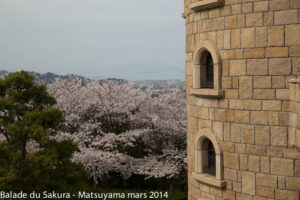 sakura_matsuyama31032014-7V0B1935