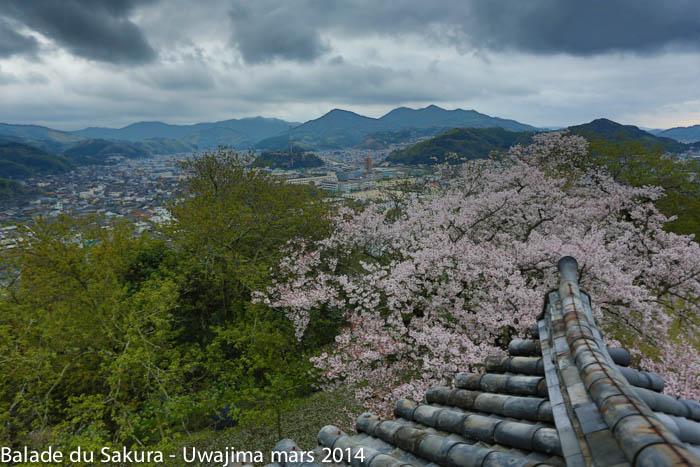 Photos du temple Wakai et château de Uwajima – mars 2014