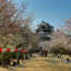 Photos du château de Matsuyama