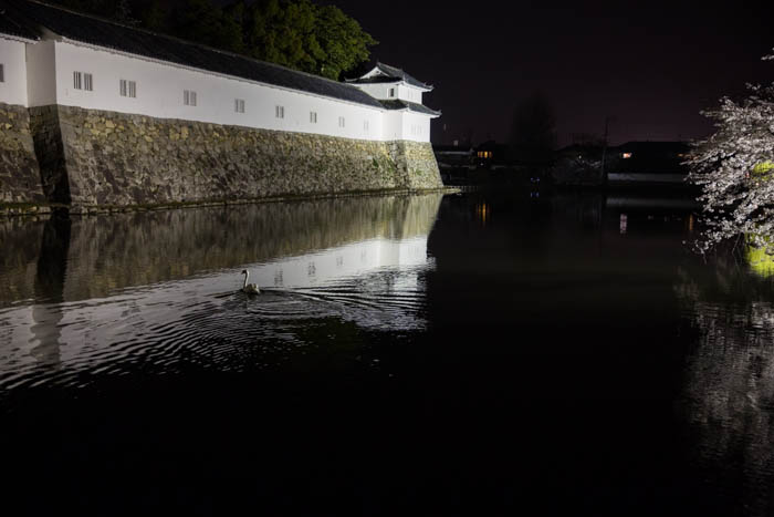 En passant par Kyoto.