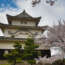 Photos du château de Marugame