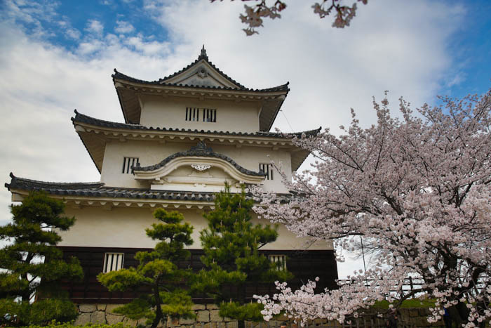 Photos du château de Marugame