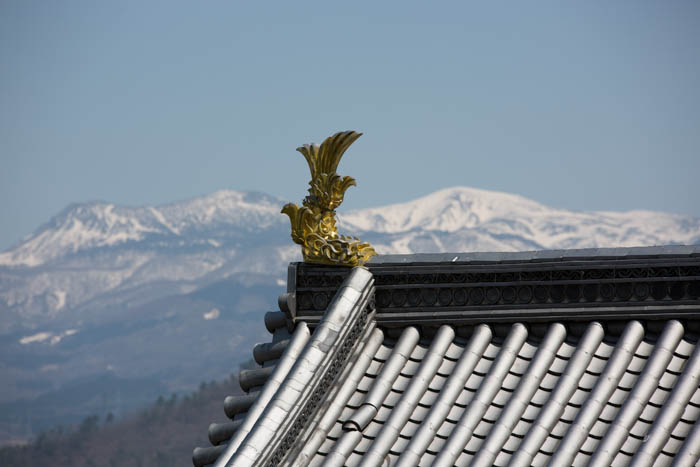 Shachihoko avec vue