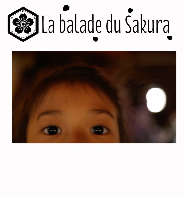 SE Adaptation Japon Chateaux et sac à dos