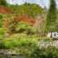 Le jardin Koko-en à Himeji