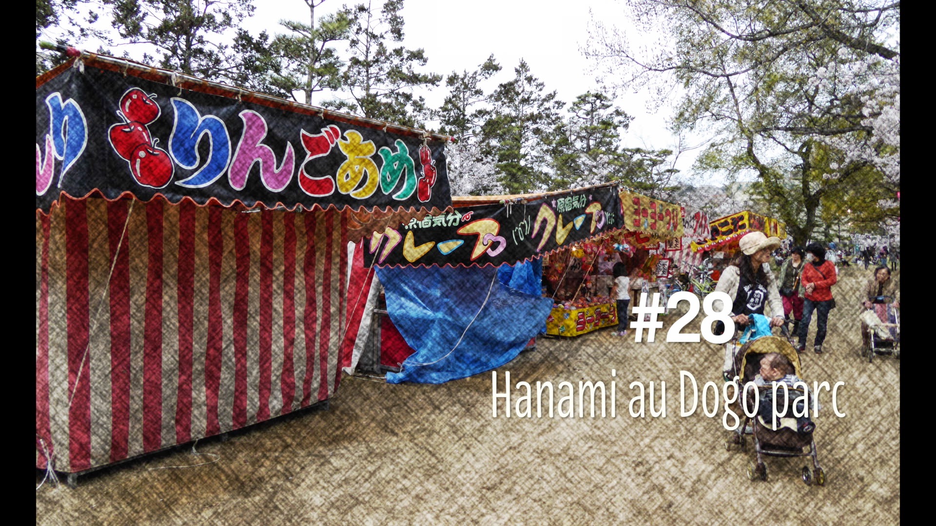 Hanami au parc Dogo à Matsuyama