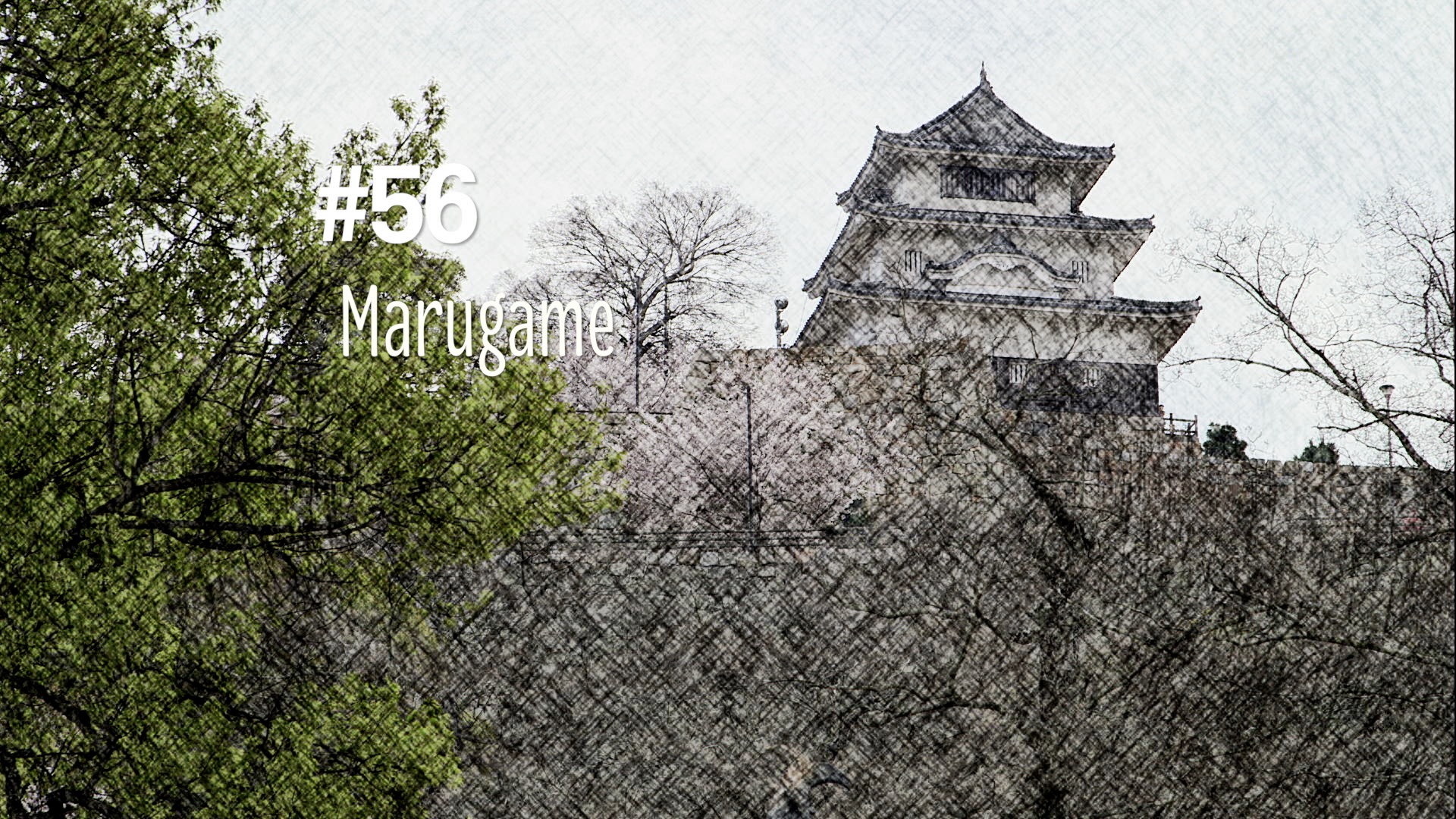 Le château de Marugame