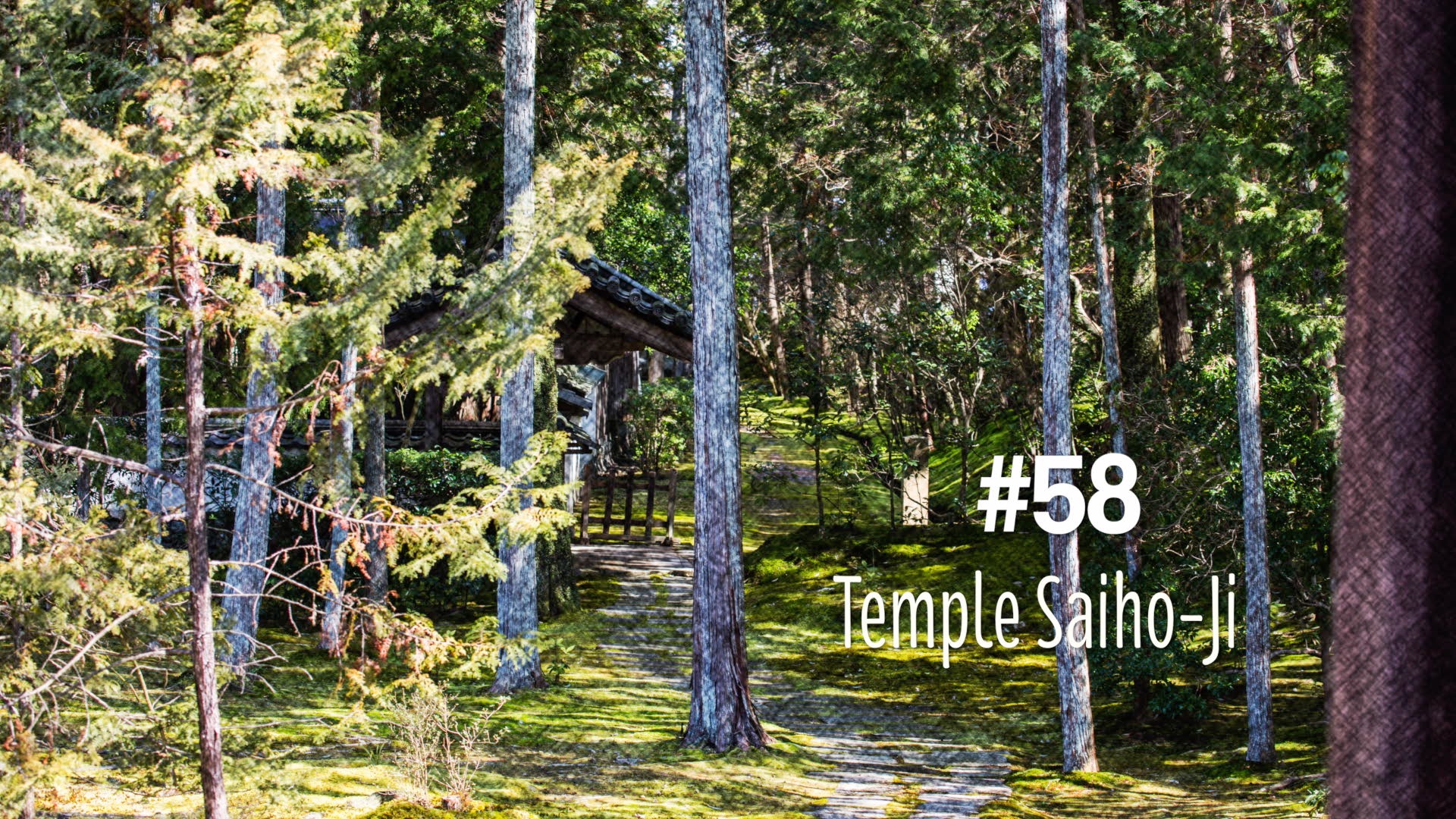 Le temple Saiho-ji à Kyoto