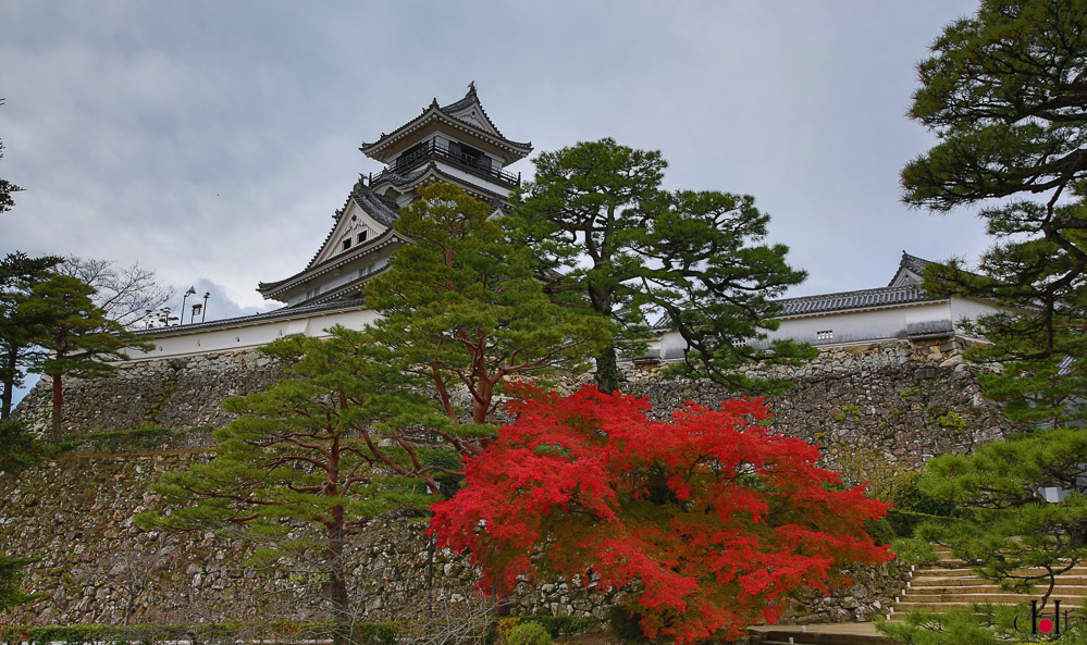 A_KOCHI_Chateau__article_cdj__bds__Japon__jour1__kochi