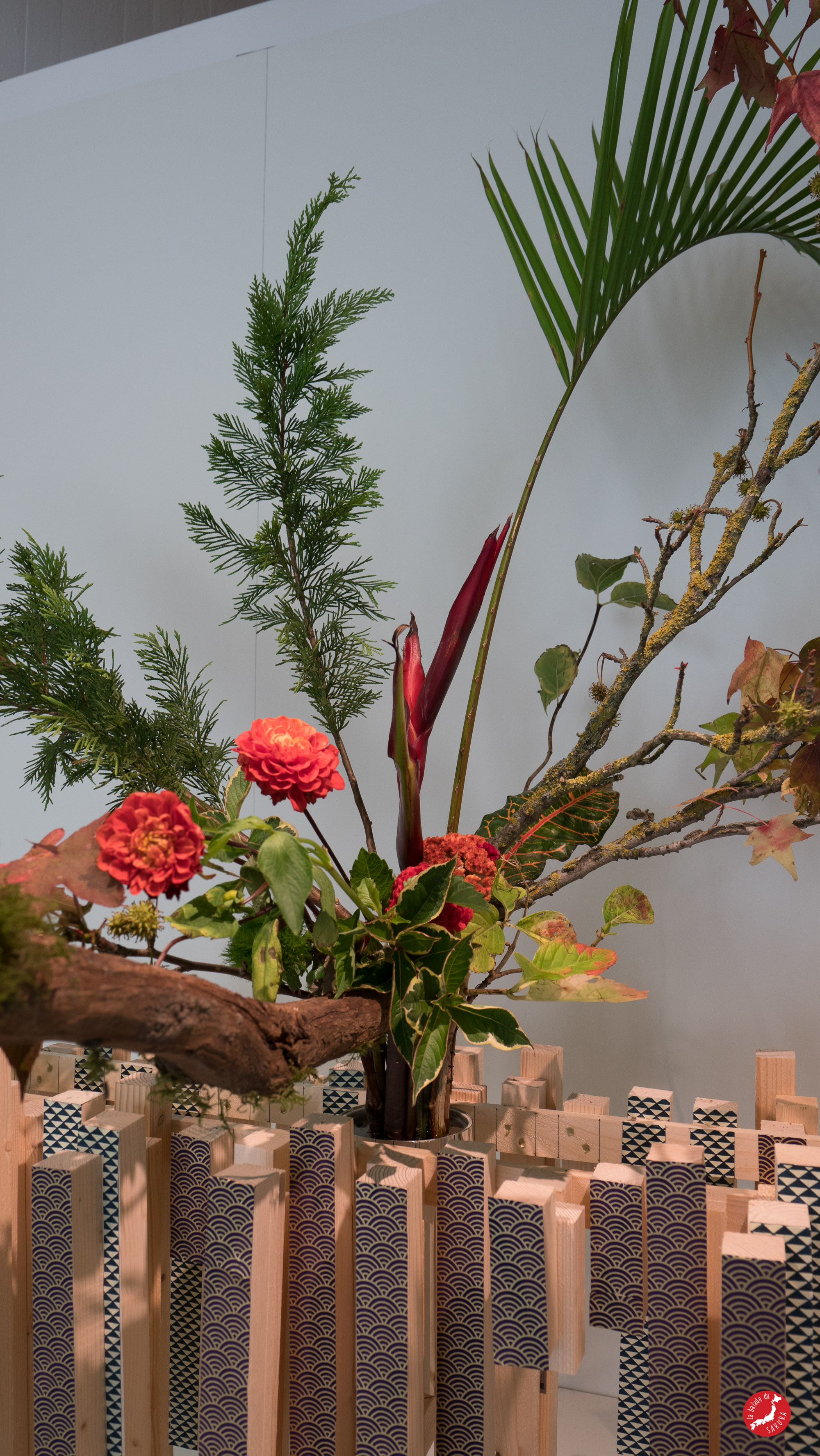 bds expo voyage creatif