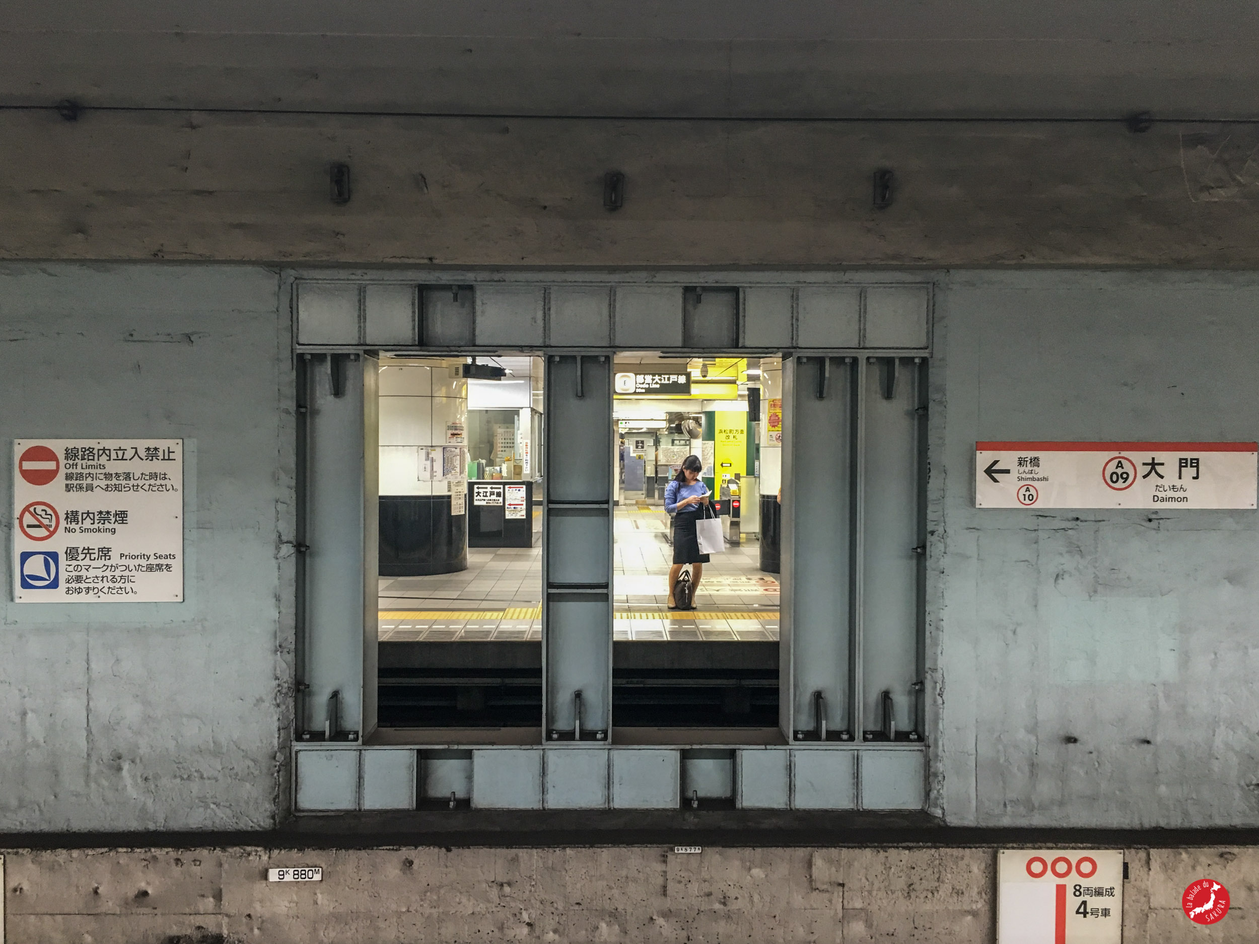japaninamug metro tokyo subway