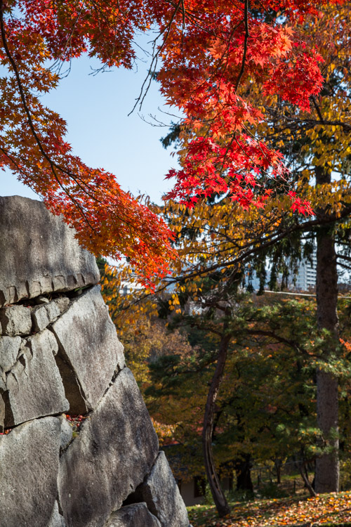 A Morioka Ruines  article tohoku  bds