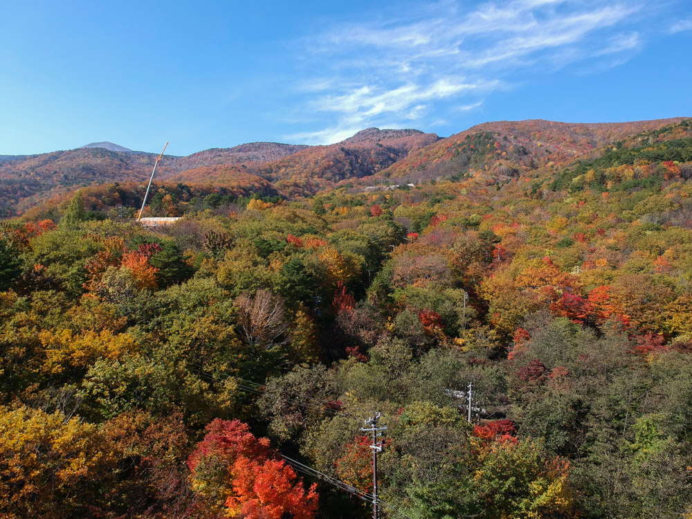 article tohoku  fudosawa pont