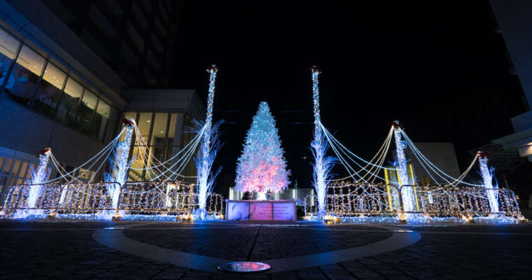 Les illuminations de Noël au Japon