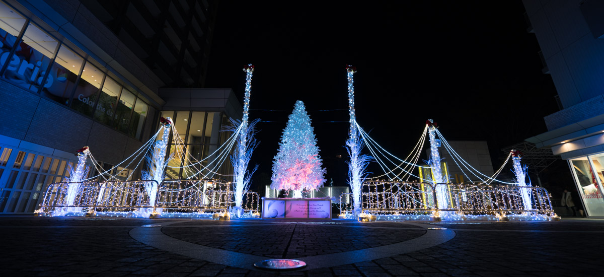 Les illuminations de Noël au Japon