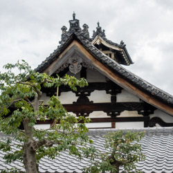 architecture chidori hafu temple