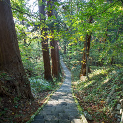 chemin avec des cyprès Mont Haguro