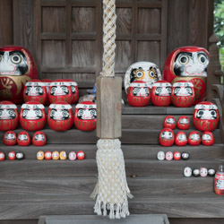 daruma