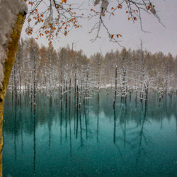 blue pond à Hokkaido