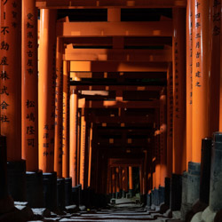 sanctuaire Fushimi Inari de nuit à Kyoto