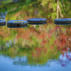 reflet de la nature