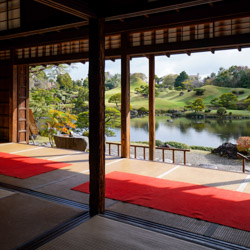 Jardin japonais maison de thé