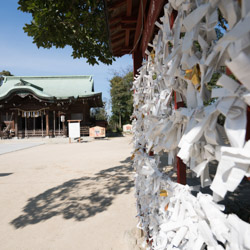 omikuji