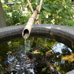 une fontaine japonaise tsukubai dans un jardin