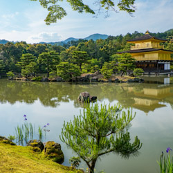 Kinkakuji temple à Kyoto