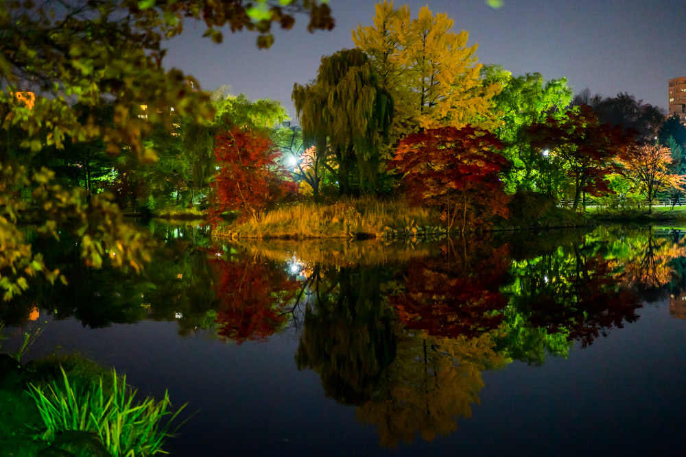 japaninamug nakajima park sapporoDSC