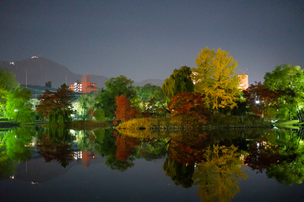 japaninamug nakajima parkDSC