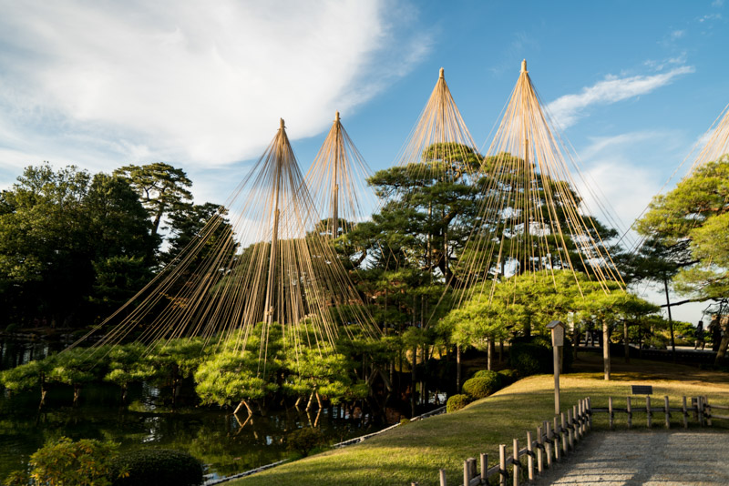 SEL SEL japaninamug kanazawa kenrokuenDSC